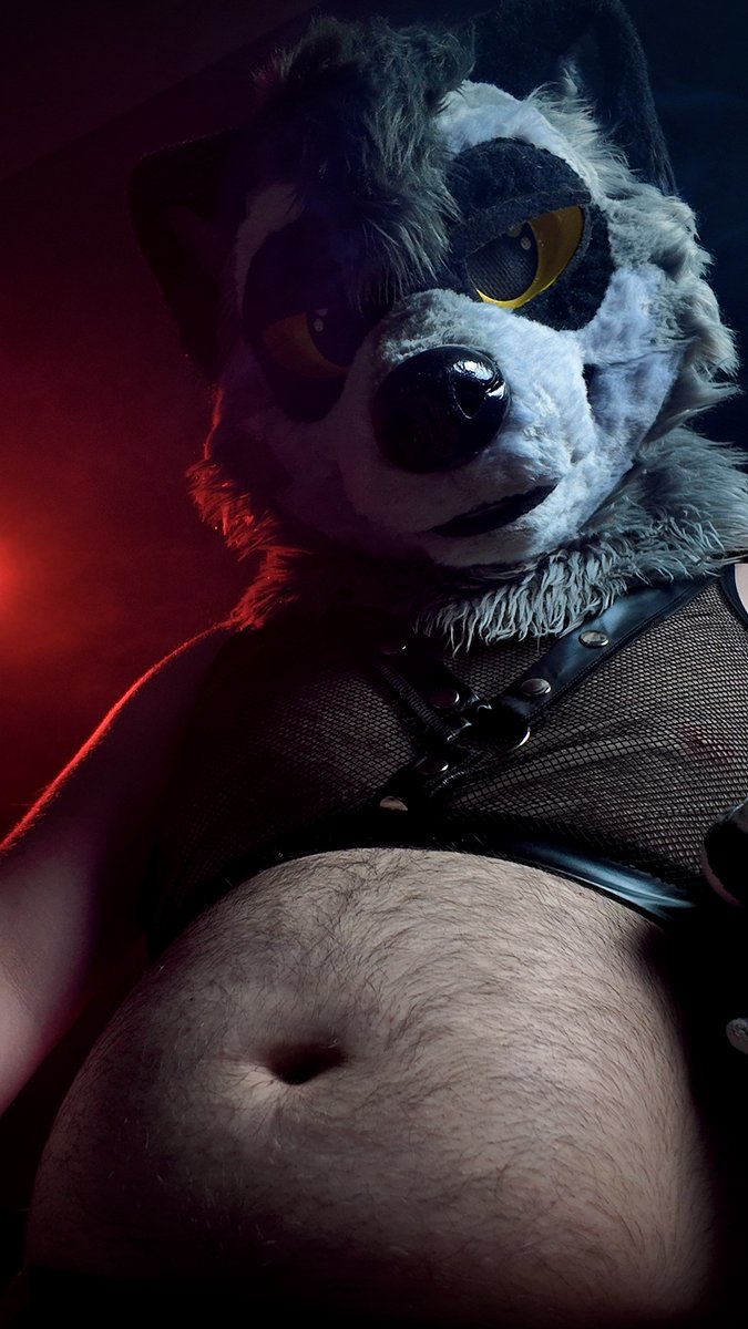 Bandit Raccoon 🇰🇿 tweet media