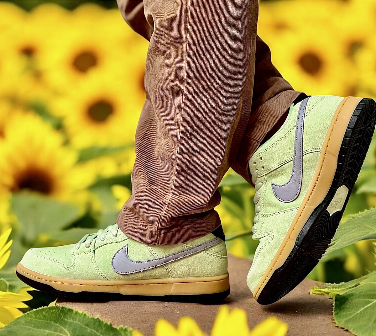 nike dunk sunflower