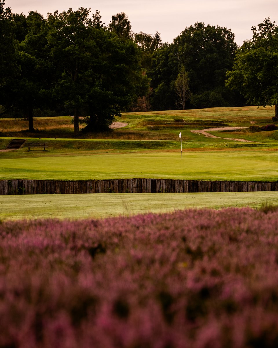 Royal Ashdown Forest Golf Club tweet media