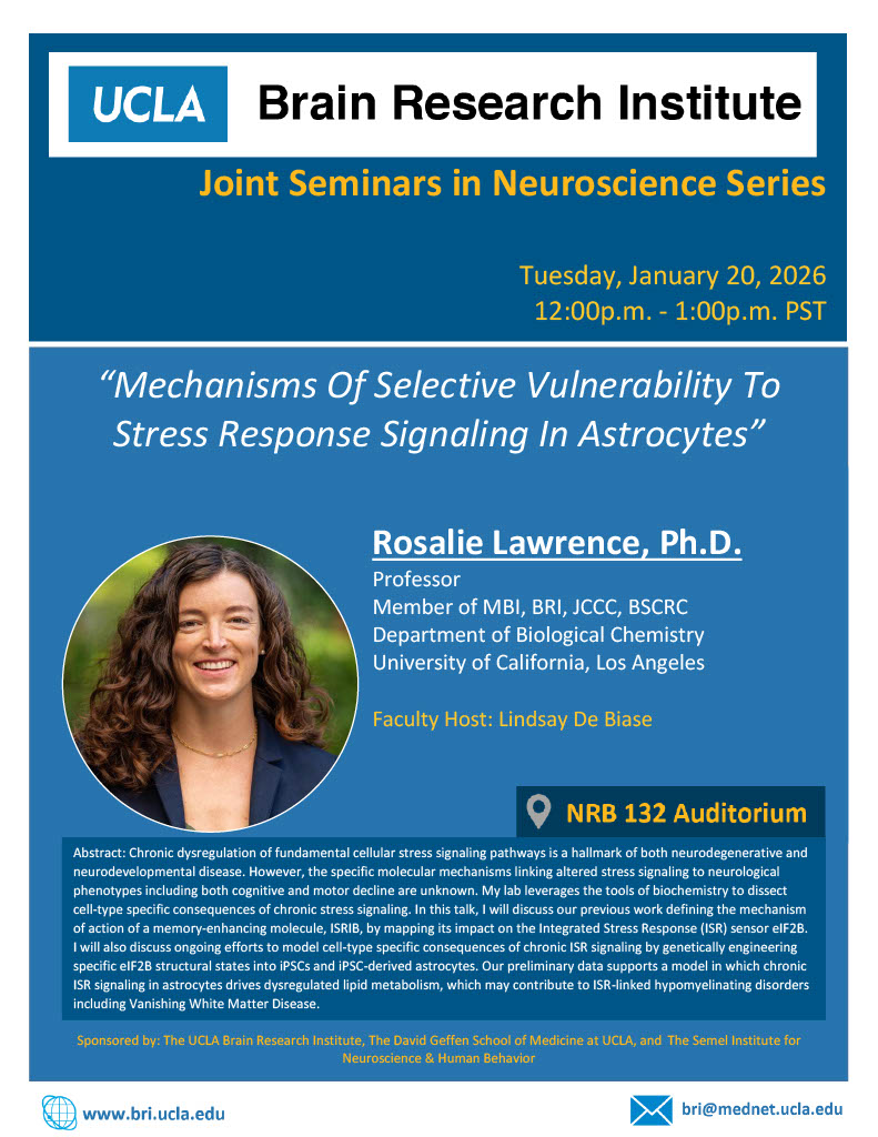 UCLA_BRI's tweet photo. Please join us Tuesday, January 20th at 12pm for JSN with Rosalie Lawrence, Ph.D. https://t.co/1e4rtnhZ25