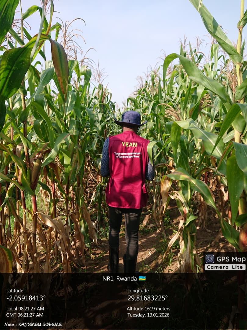 Crops Doctor tweet media