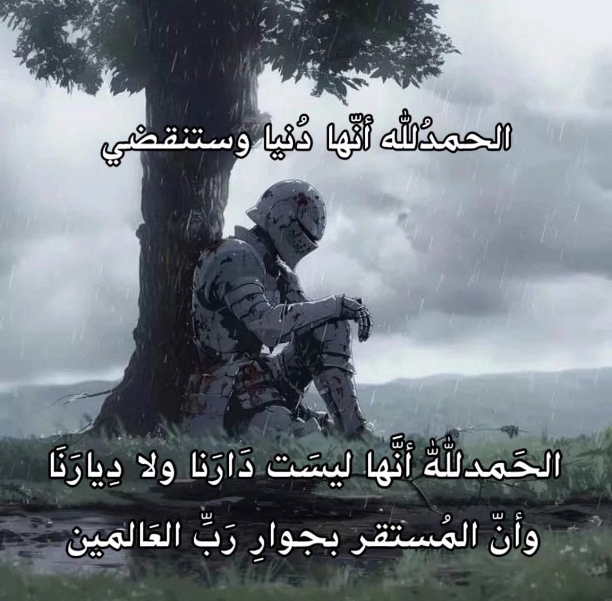 WTF ? (@mohamed62019639) on Twitter photo 