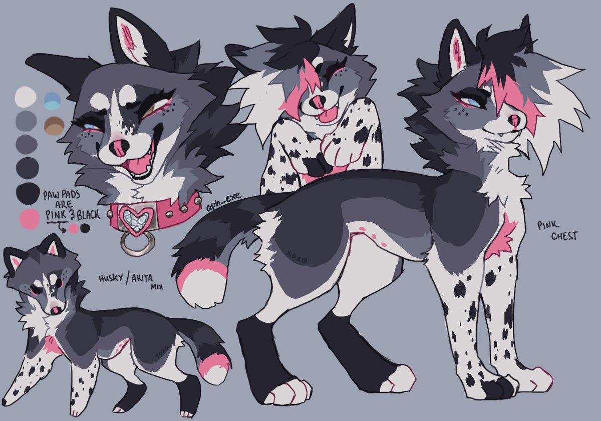 husky/akita mix ;3c 

askin for 💲1️⃣2️⃣0️⃣ 💖💖

dm or comment to claim :3