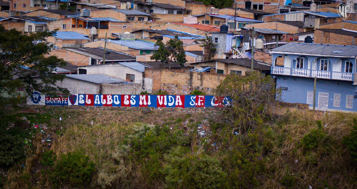 LaUltraFiel_'s tweet photo. ¡EL ALBO ES MI VIDA! 😍🦁 

Te mostramos uno de nuestros murales en la ciudad capital, año con año los muchachos lo retocan y lo pintan, para que cada vez luzca imponente e impecable. 

#LosQueNuncaTeFallamos https://t.co/o1TeLKAmbe