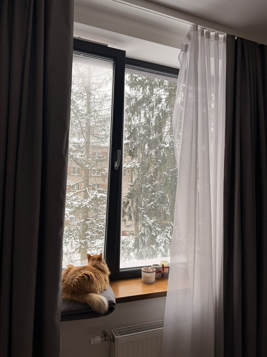 dilobar_t's tweet photo. Лентангизга мушукча 😸 твитерга киришга мотивация топиш бирам қийин 😆 https://t.co/RN61kCMSXc