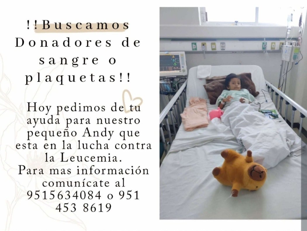 donaenvida's tweet image. #URGENTE #Oaxaca #Plaquetas #Sangre para el pequeño Andy, quien lucha contra la leucemia, en el IMSS de Oaxaca.
Contactar al: 951 563 4084 0 951 453 8619.

#DonaEnVida #AyudarEstáEnLaSangre