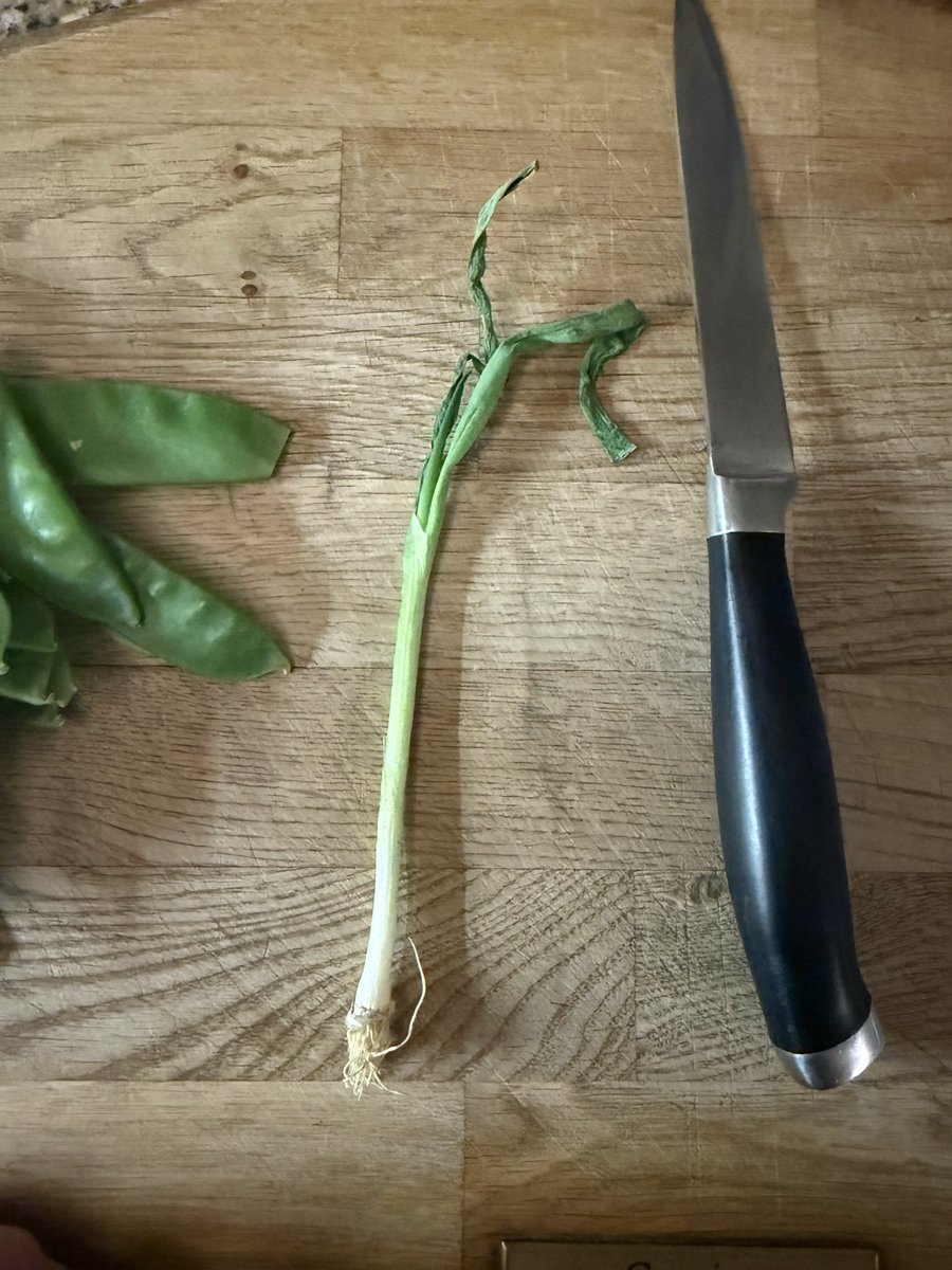 JF0433's tweet photo. @HelloFreshUK are you serious? You call this a spring onion? Arrived a few days ago and already wilted and so small… https://t.co/5z9VQkKNhp