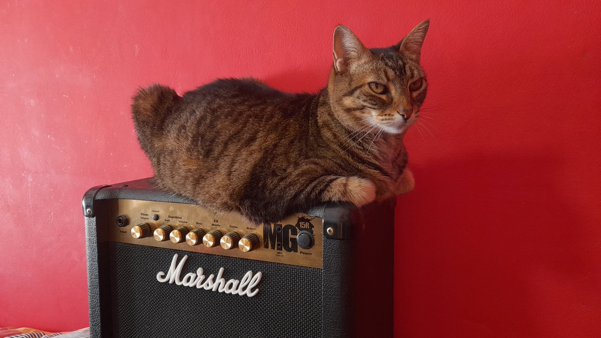 LostInPripiat tweet media