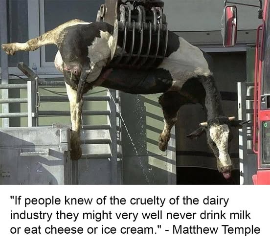 EllieCG11's tweet image. Valuable information in this read, for all.
mspca.org/animal_protect…