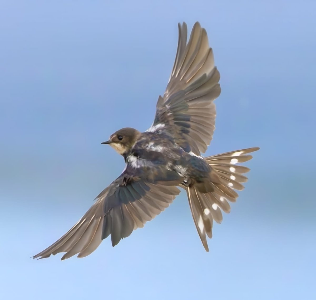 Photography Tricks and Tips tweet media