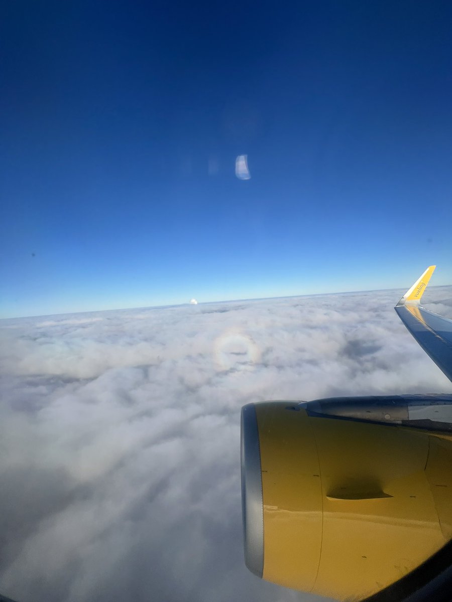 Dormir es un acto subversivo, despertar también.