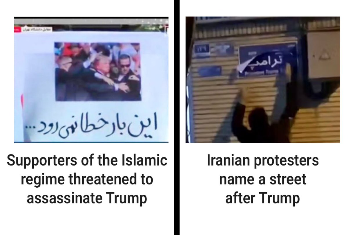 موژی tweet media