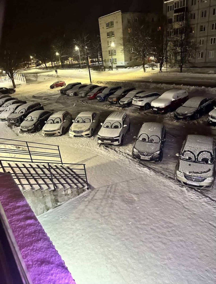 Wild_SPb's tweet image. Очень милое хулиганство😀