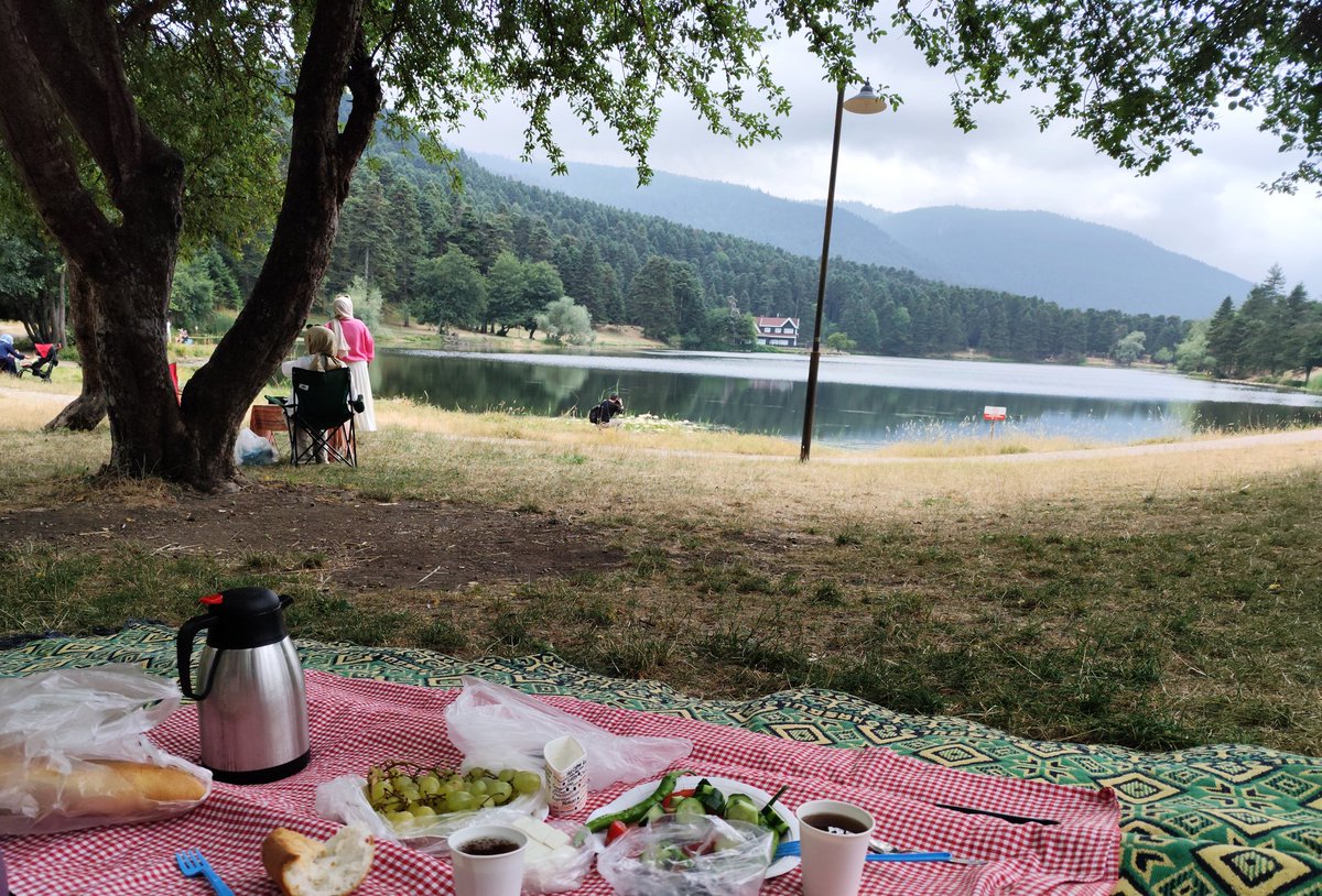 Busraabgd's tweet photo. 📍14-Bolu https://t.co/dJpgTdQRm0