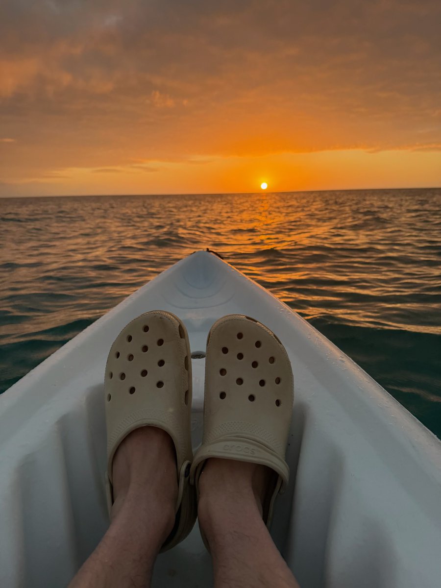 SUB FOCUS tweet media