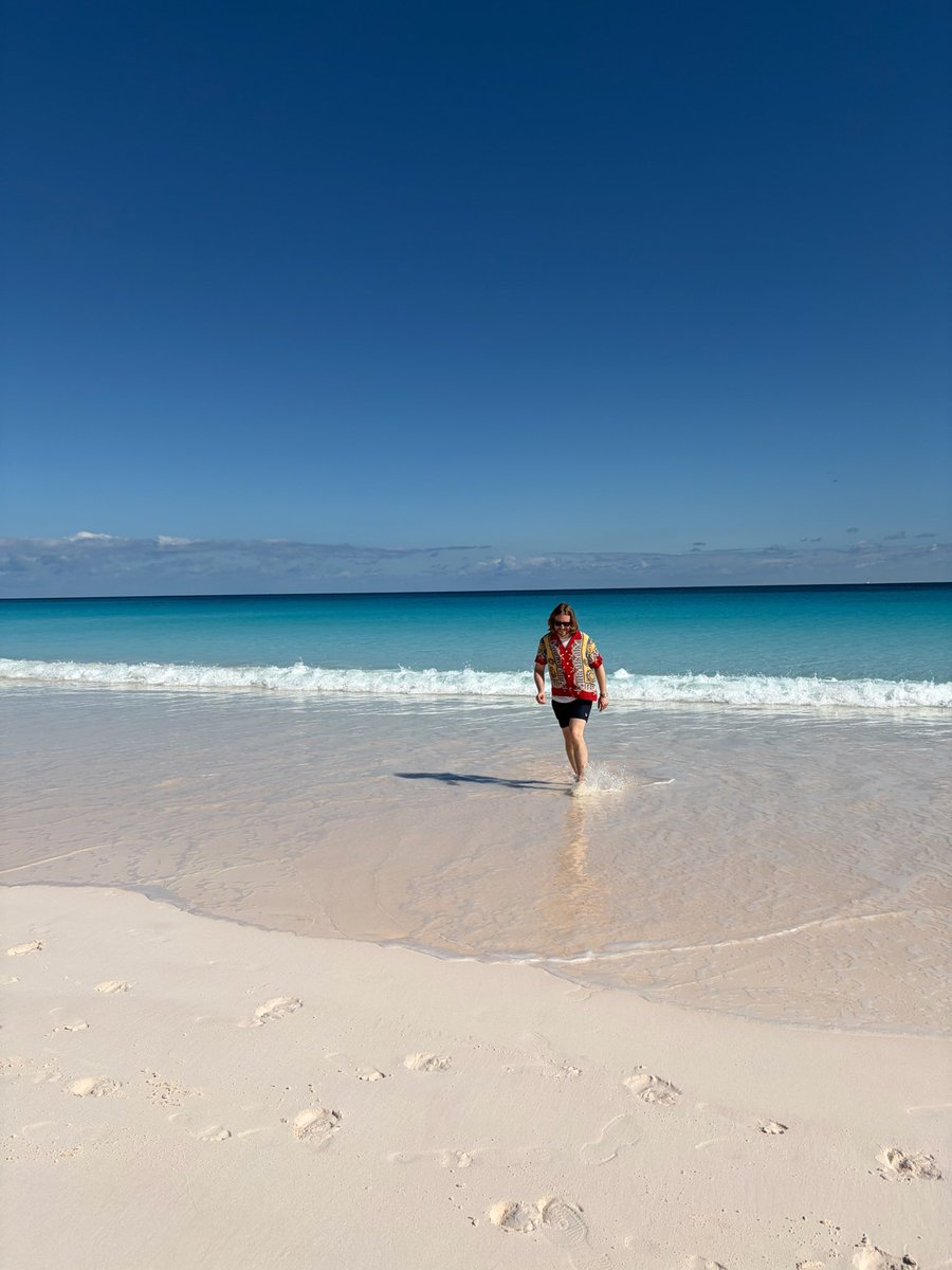 SUB FOCUS tweet media