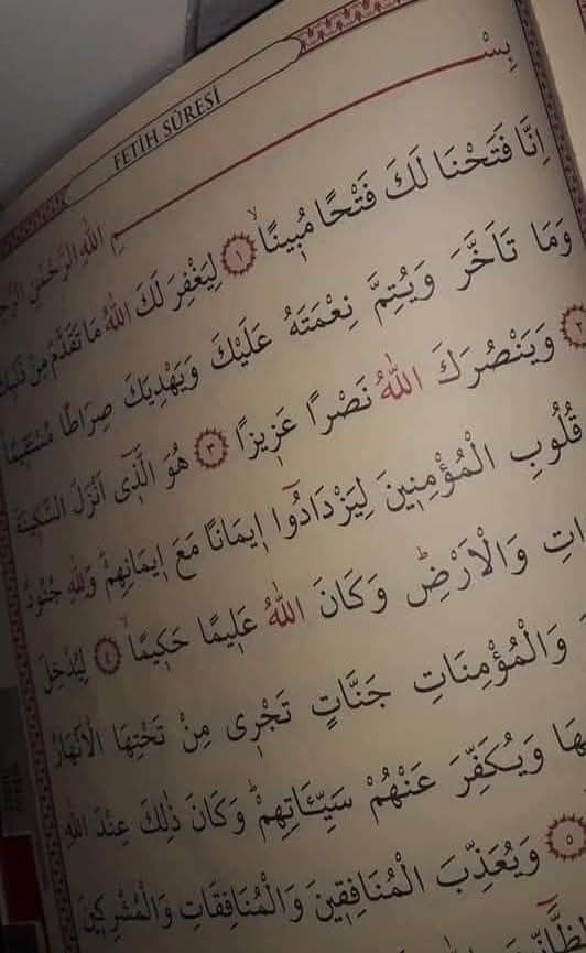 🇹🇷͜͜͡͡✯Yağmur➎➌ tweet media