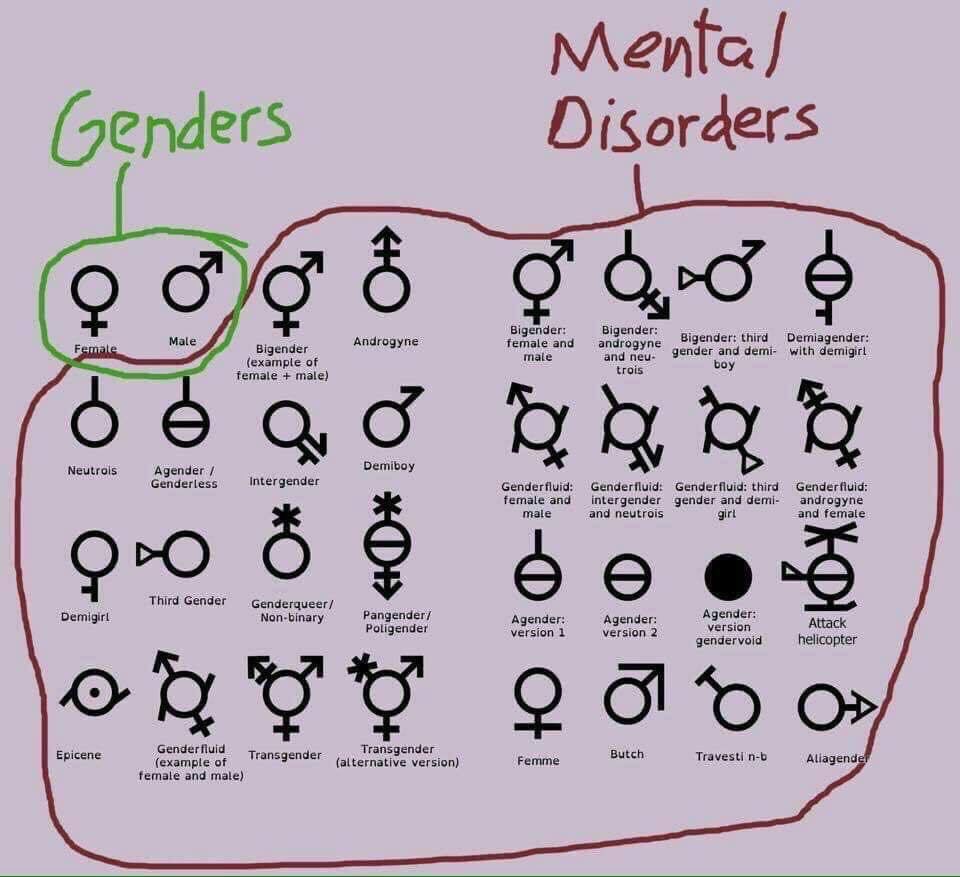 grindingdude's tweet photo. @Riley_Gaines_ @_Reyna_ When it’s all said and done, check the chart! https://t.co/8plVm39jze