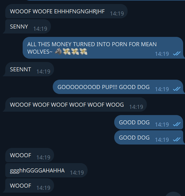 🐺💸$CAMWOLF💸🐺 tweet media