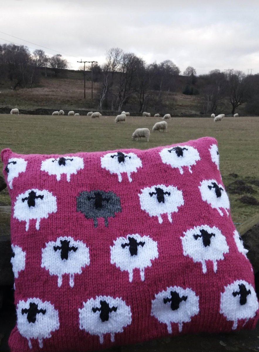 The Yorkshire Grey Sheep tweet media