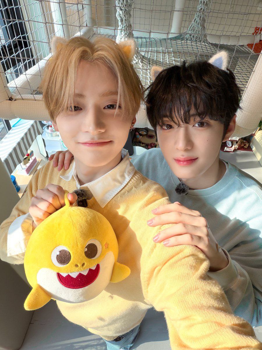 Saygwon's tweet image. The cats goes meow (2026). Sanghyeon and I once got to experience life as cat-people for a day. It was surprisingly fun! We basically just existed, but our mere presence was enough to keep everyone around us entertained.