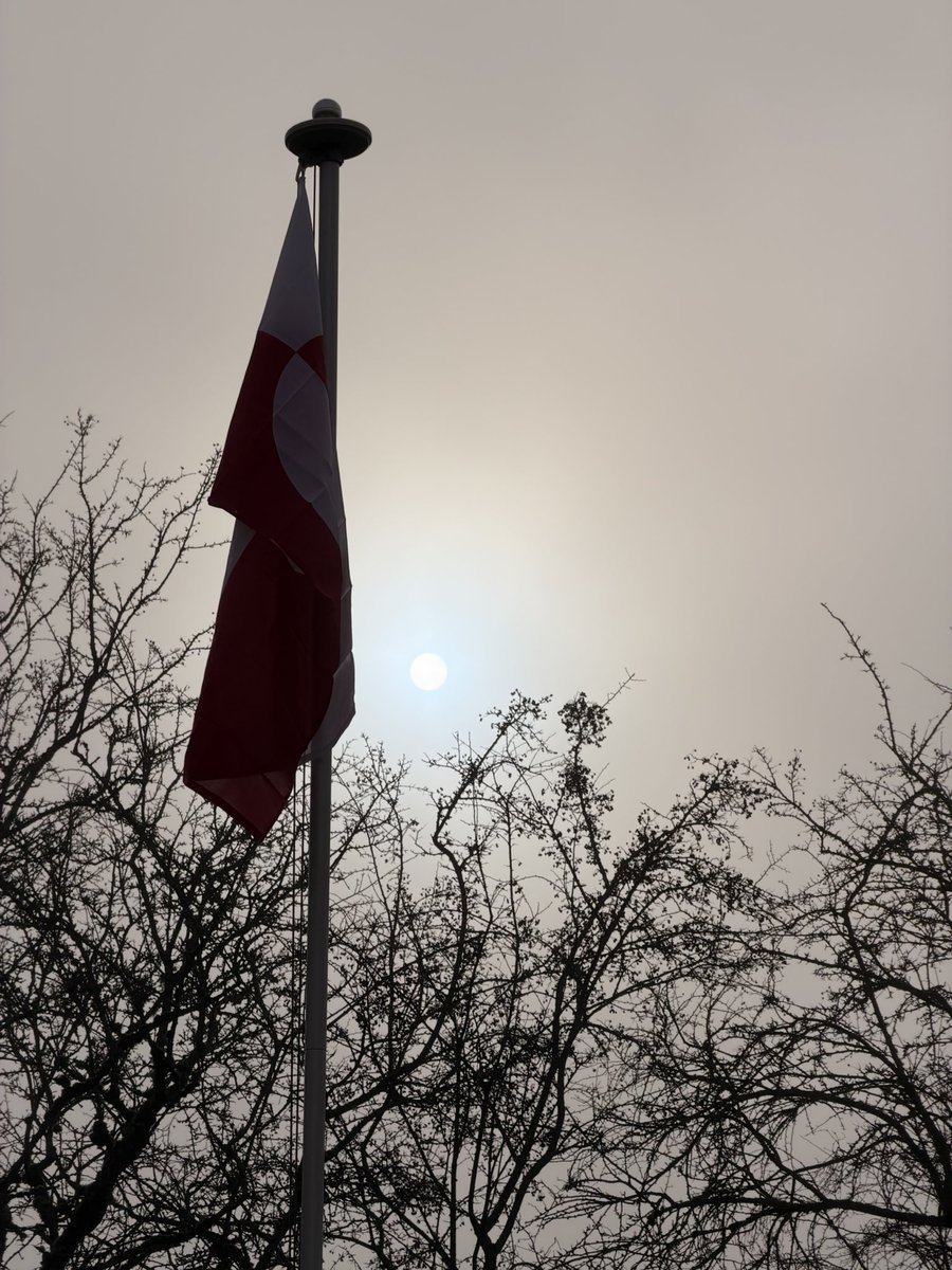 Dave Willows 🇨🇦 tweet media