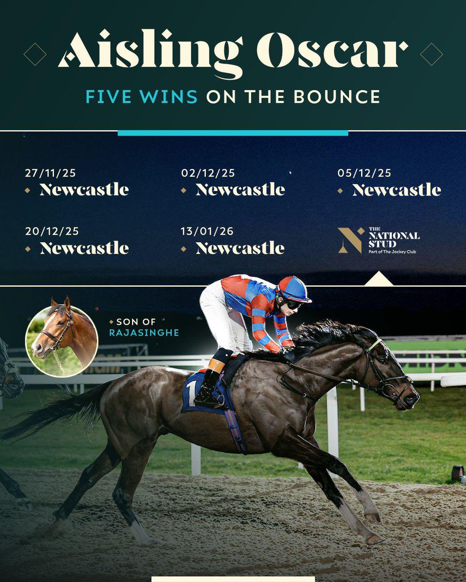 NatStudStallion's tweet photo. Five on the bounce for a son of 𝐑𝐚𝐣𝐚𝐬𝐢𝐧𝐠𝐡𝐞 🔥

Last night, Aisling Oscar continued his winning streak at Newcastle, making it five wins from his last five starts this All-Weather season for trainer Adrian Paul Keatley at Newcastle. 

#NationalStud #Rajasinghe https://t.co/6nv4hg2wKK