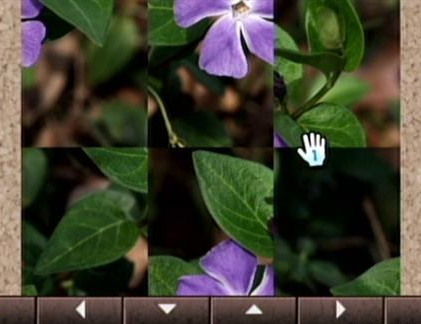 Mister Flech tweet media