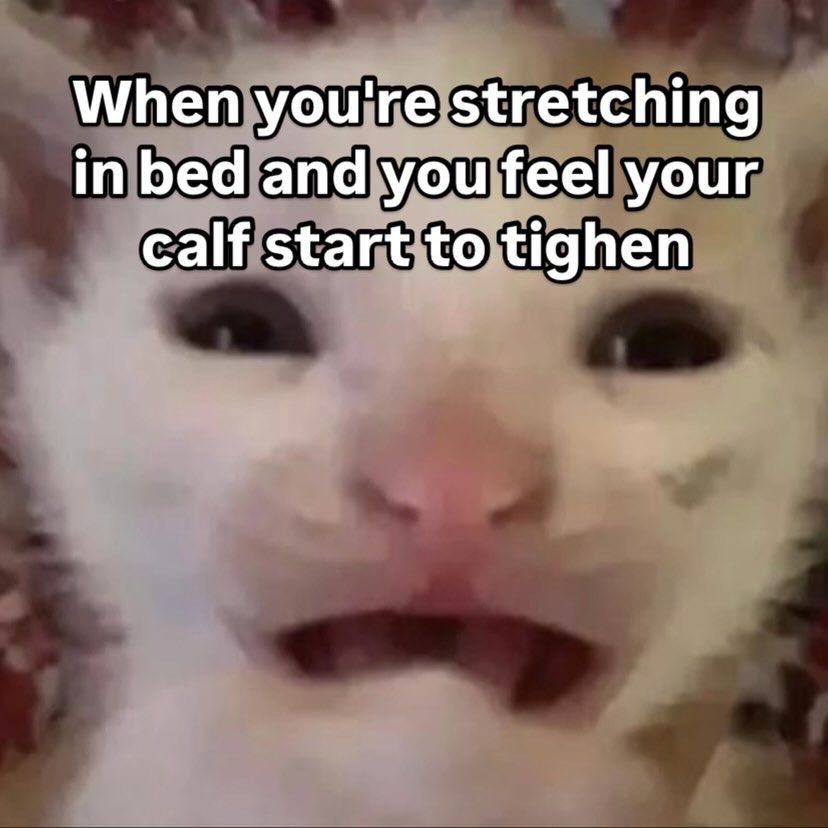 LiterallyMeCats tweet media