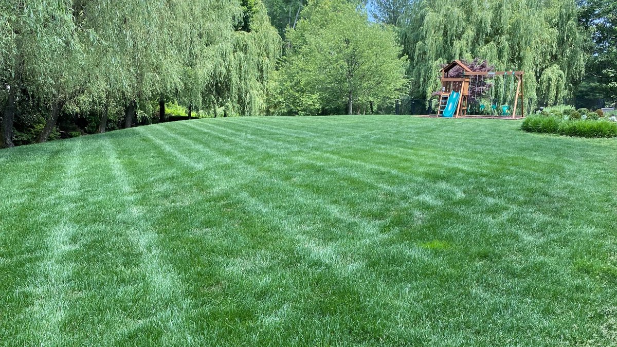 Arborjet | Ecologel tweet media