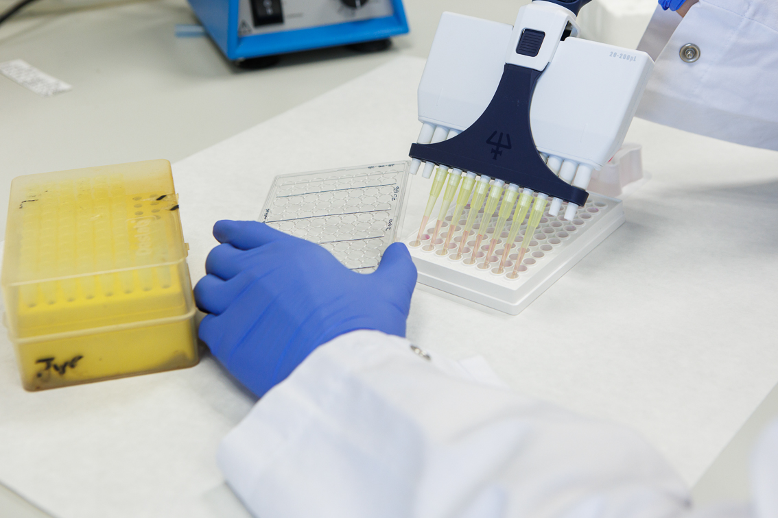 🔬 Publicat a <a href="/Nature/">nature</a>, un estudi internacional liderat per <a href="/ArkaitzLab/">ArkaitzCarracedoLAB</a>, amb la col·laboració del Grup d’Expressió Gènica del VHIO de <a href="/seoanelab/">Seoane Lab</a>, revela el mecanisme mitjançant el qual els metabòlits guien les decisions cel·lulars.

➡️ linke.to/NatureSeoaneLa…