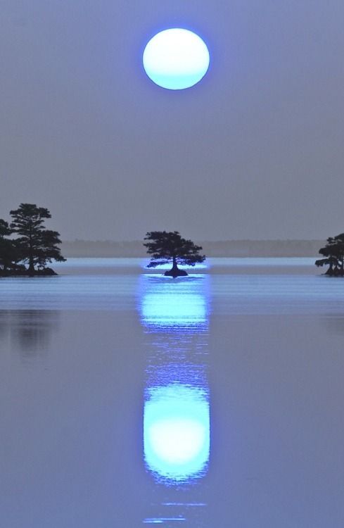 rare_jpg's tweet image. 