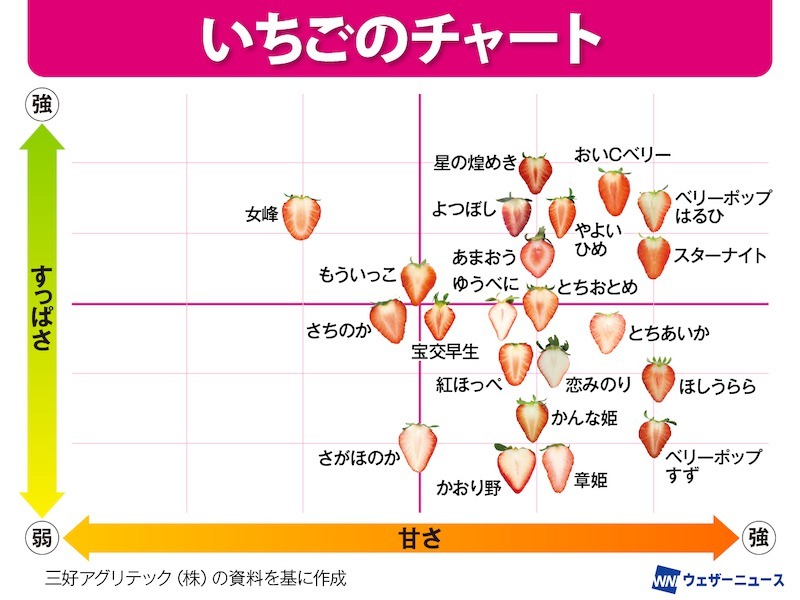 【いちごチャート🍓】
1月15日は「#いちごの日」。旬を迎える人気の果物「いちご」には様々な種類があり、味や形、果肉の固さなどに個性があるそうです。甘さとすっぱさのバランスも大切とのこと。
いちごチャートを参考に自分好みの品種を探してみませんか？？ weathernews.jp/news/202601/12…