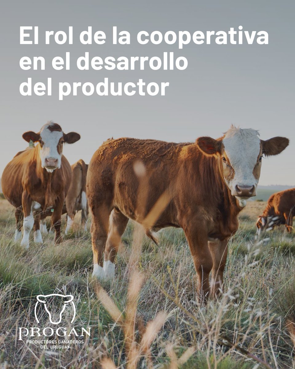 Progan - Productores Ganaderos del Uruguay tweet media