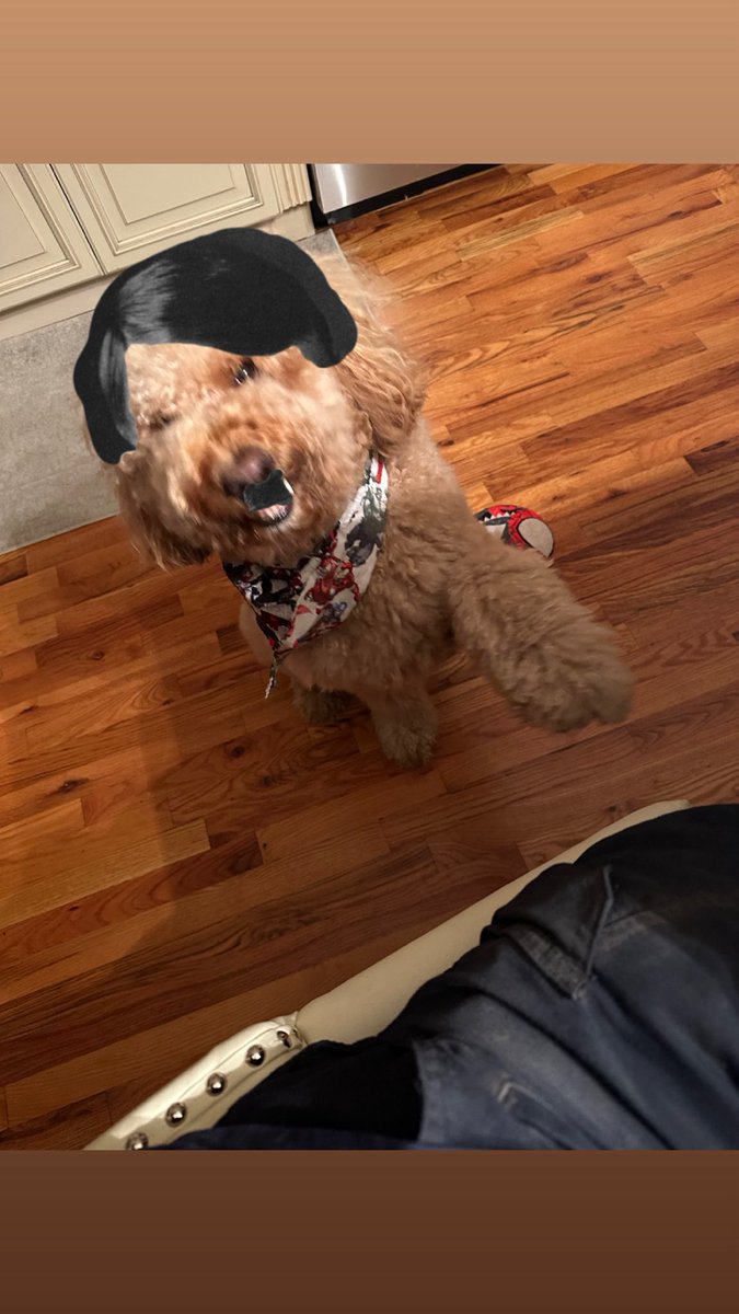 America First NYC tweet media