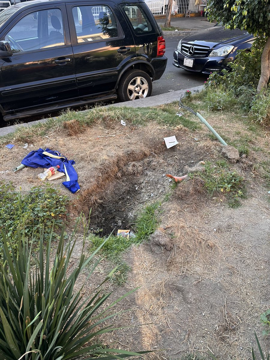 PRISCILA_DISENO's tweet photo. @BJAlcaldia @AccionesBJ Hola quiero reportar que en camellón de diagonal de san Antonio, cada vez está más sucio, desde el metro Etiopía hasta Uxmal o más. dejaron los hoyos de las palmeras que quitaron y la gente que pasa por ahí los usa de basureros urge solución https://t.co/w12BZChk6e