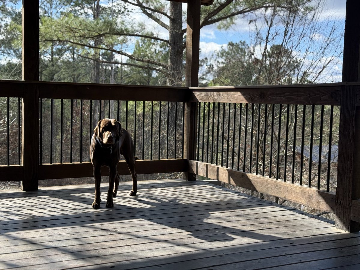 And after all that, Dutton and I finally got away for some solitude.