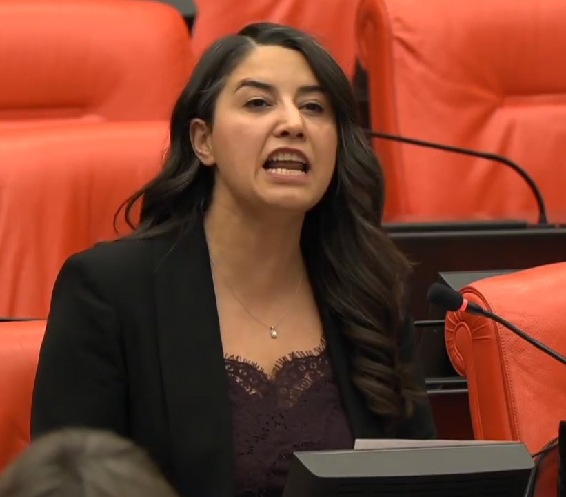 Türk meclisinde, vergilerimizi cebe atıp ülkemize karşı teröristlerin çıkarları için mücadele ediyorlar, bir de utanmadan kaşları çatıp bizden hesap soruyorlar.

Bir de o çirkin suratlarıyla kuaföre gidip saçlarına fön çektirmişler. İşte kürdofaşizm dediğimiz şey bu.