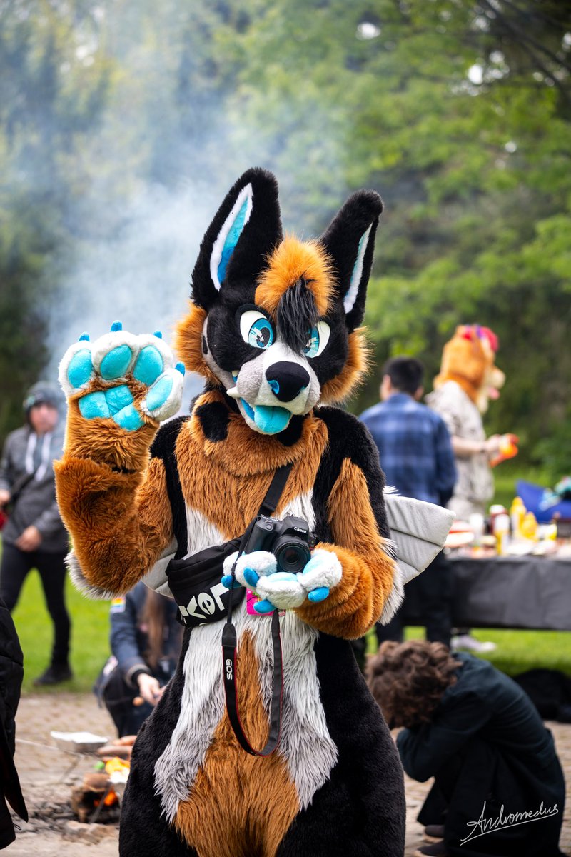 I’ll be at #FC2026 tomorrow! Come say hi if you see me, and ask for a sticker! 

📸: <a href="/AndromedusWolf/">Andromedus</a>