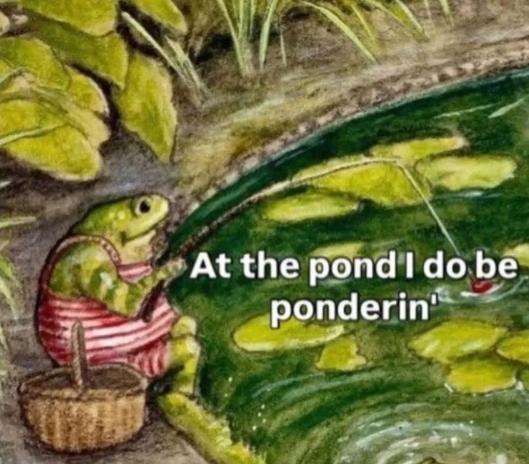 nocontextfrogs's tweet image. 