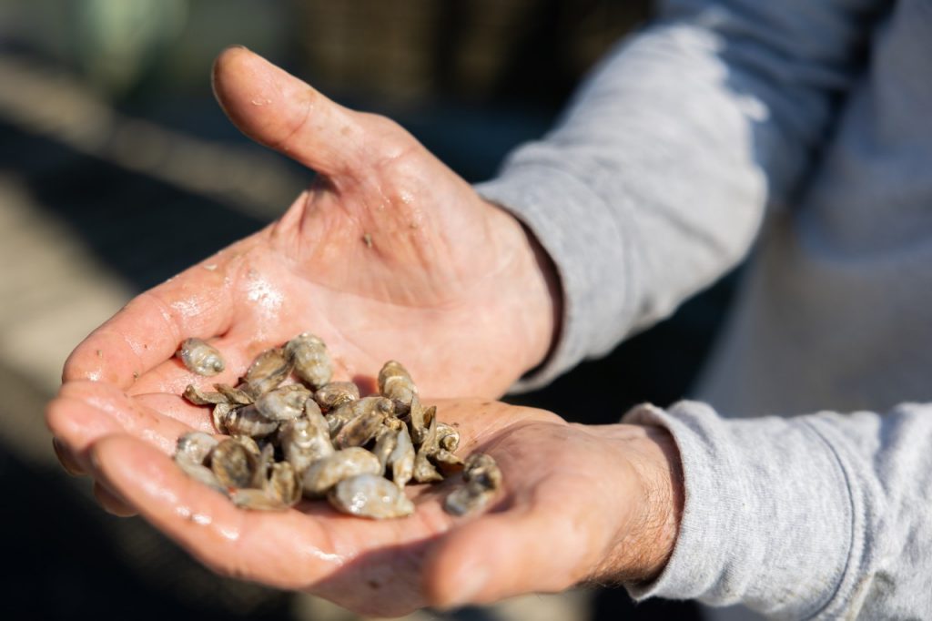 Virginia Tech Engineering tweet media