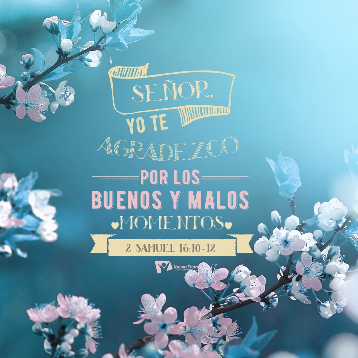 🙏 Que tu corazón aprenda a dar gracias en todo momento: en la alegría y en la prueba, en la calma y en la tormenta. Porque cuando agradeces, también estás confiando. ✨

#RPSP #PrimeroDios #2Samuel16

🎧 Escucha este RPSP spotify.link/tzPeigidr