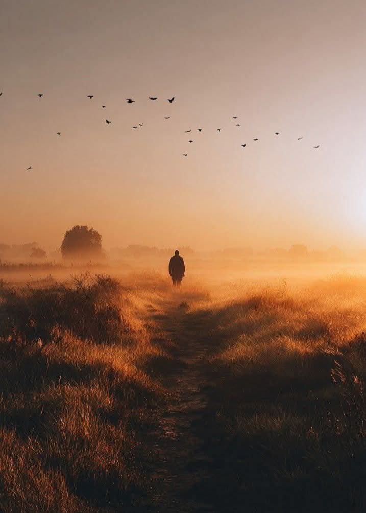 Maraaaks's tweet image. "Every life is many days, day after day, we walk through ourselves, we meet robbers, ghosts, giants, old men, young men, women, widows, sons-in-law, but we always meet ourselves."

James Joyce, from “Ulysses”

Photo, net