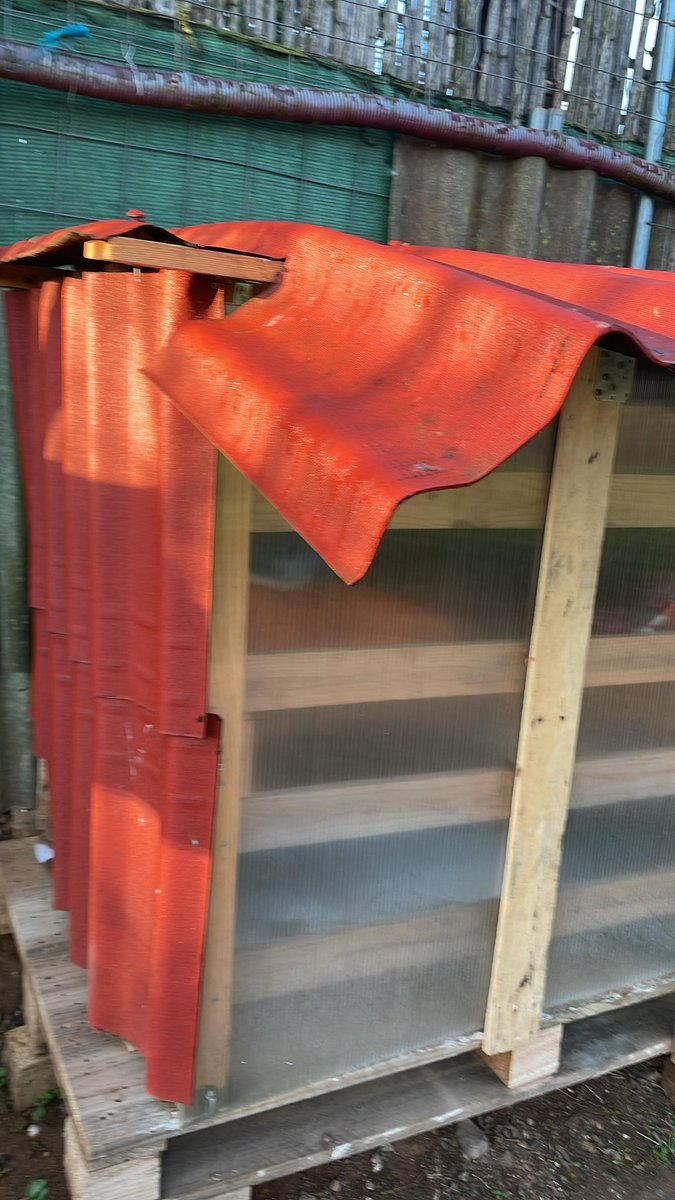 Avui la colònia on alimento amb altres companys ha aparegut vandalitzada. Furten el pinso sistemàticament, hi ha deixalles per tot arreu. Qui ho fa s'assegura que no hi hagi testimonis. Els gestors estem lligats de mans i peus, alcaldessa <a href="/socmartafarres/">Marta Farrés/❤️</a> <a href="/ProgatSabadell/">Progat Sabadell</a> #Sabadell