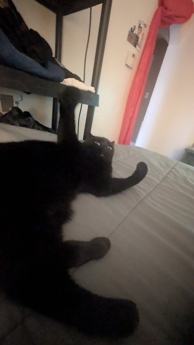 1iconforhirefan's tweet image. 