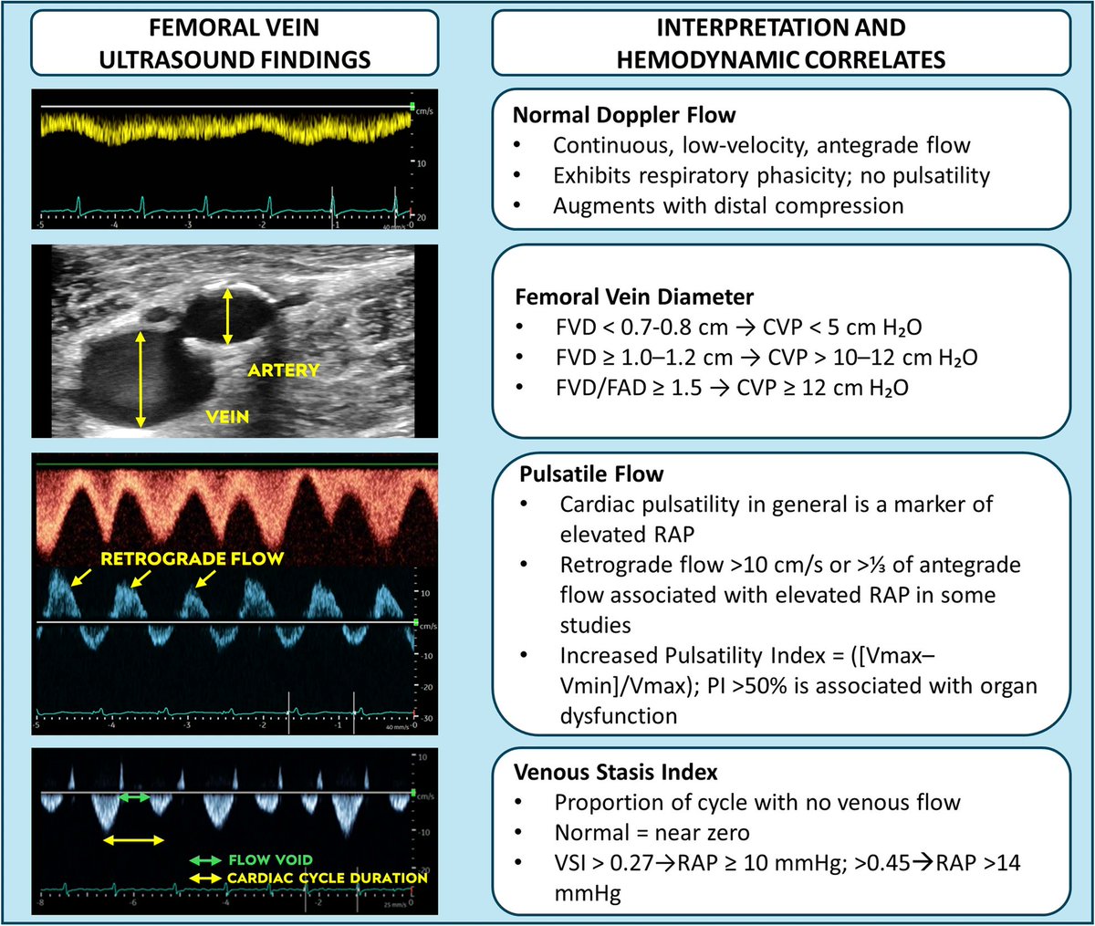 NephroPOCUS tweet media