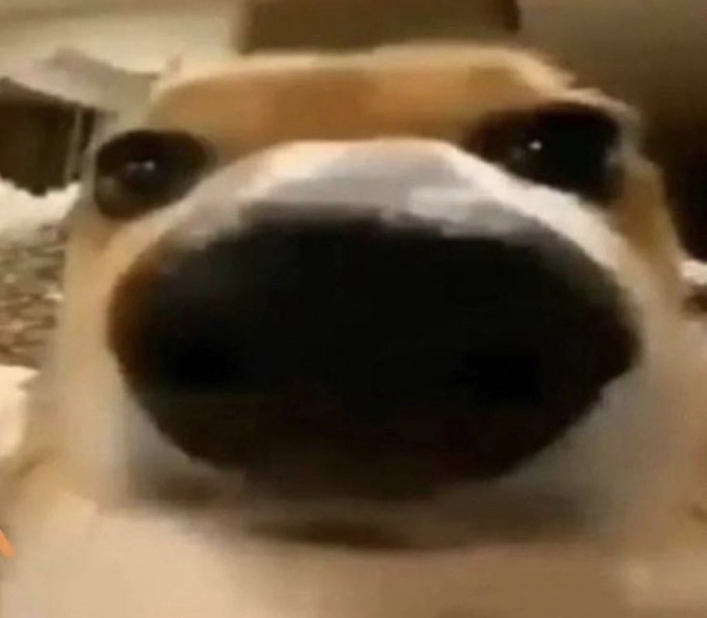 Ai eu entrei nesse jogo e tem cada pérola q pqppp