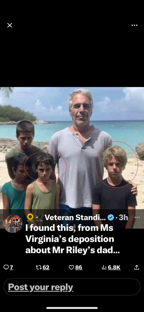 MyIsland tweet media