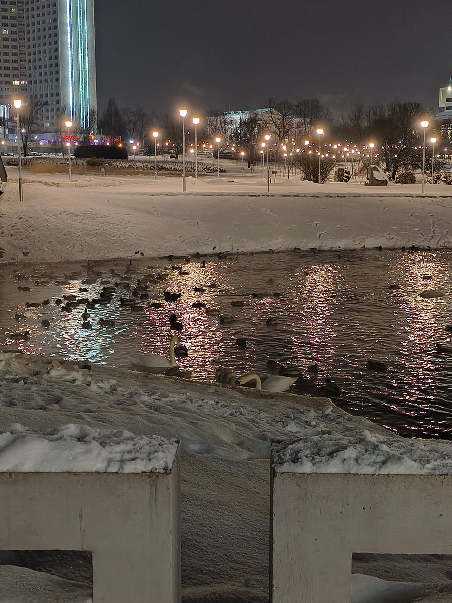 Nyarekanderu's tweet image. По итогам первого дня в Беларуси могу отметить три вещи:
1. Драники есть везде, даже в стейкхаусе
2. Тут очень много красивых девушек
3. Новый Аватар очень сильно затянут