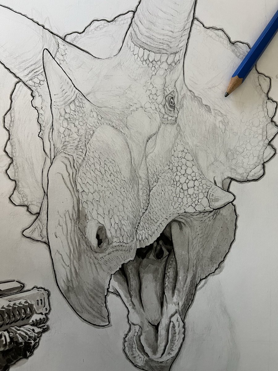 美麒(MIKI) (@D27939318) / Posts / X